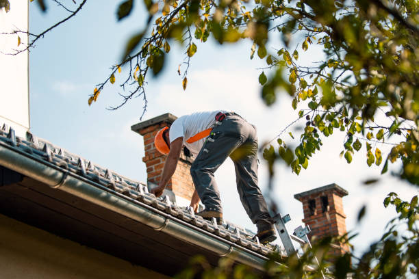 Best Roof Restoration Services  in Bellevue, WI