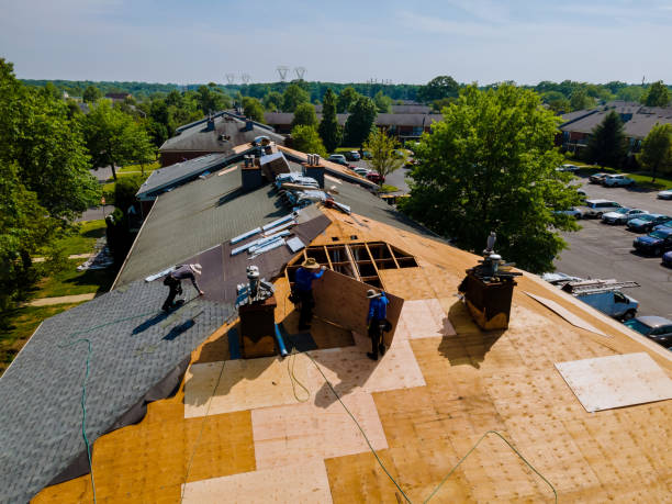 Professional Roofing Contractor in Bellevue, WI