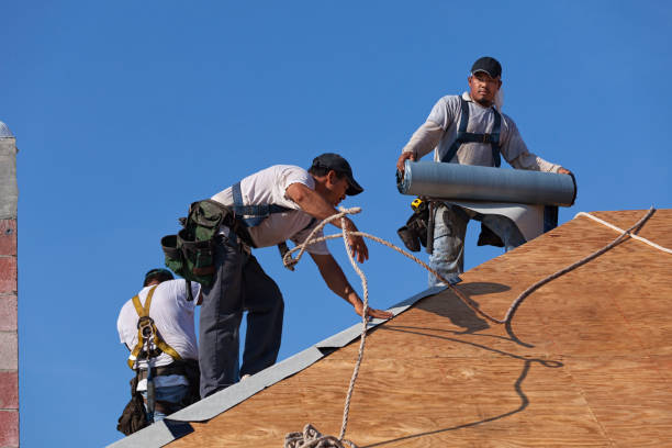 Best Roof Repair Services  in Bellevue, WI